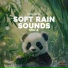Panda Nature, Panda Rain, Panda Music