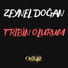 Zeynel Doğan
