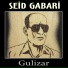 Seid Gabari