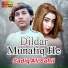 Sadiq Ali Sahil