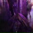 Dark Point