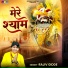 Rajiv Gidde