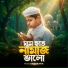 Hassan Arib