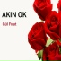 Akın Ok