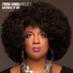 The Terri Green Project