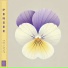 Naomi Eno, Satie Club, Beatmology