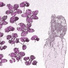 alotofywei