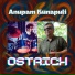 Anupam Kunapuli