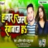 Amit Mahi, Anshu yadav