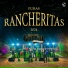 Banda Puro Quelite