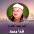 El Sheikh Mohamed El Toukhy