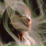 Nawrras Music, Speed Up Unlimited, Project WHO