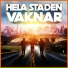 Femedia, Raggarligan, Mackarinø