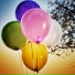 eeone