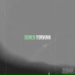 Torvian