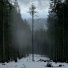 Kinyaev