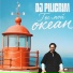 DJ Piligrim