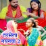 Nirkhu Sajanva