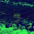 leftlon3