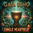 Gaia Echo