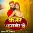 Vikash Anmol