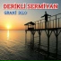 Derikli Sermiyan