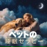 ペット療法
