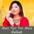 Gulaab