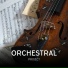 ORCHESTRAL PROJECT