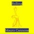 Mauro Cannone