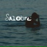 Salobre