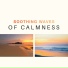 Calming Music Ensemble