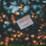 fragile sun