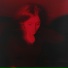 AVÉLINA