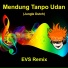 EVS REMIX