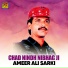 Ameer Ali Sarki