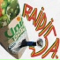 RAIDISA