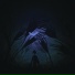 distorttt prod.