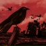 Agla & The Crows