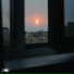 Forest Fire