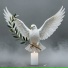 EGOR111