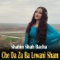 Shahin Shah Bacha