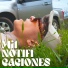 MoiS M.N