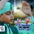 Talha Qadri