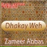 Zameer Abbas