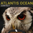Atlantis Ocean - Das ist Gunter (Original mix)