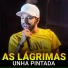 Unha Pintada