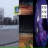 travka12