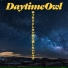 Daytime Owl