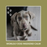 Relaxing Dog Music